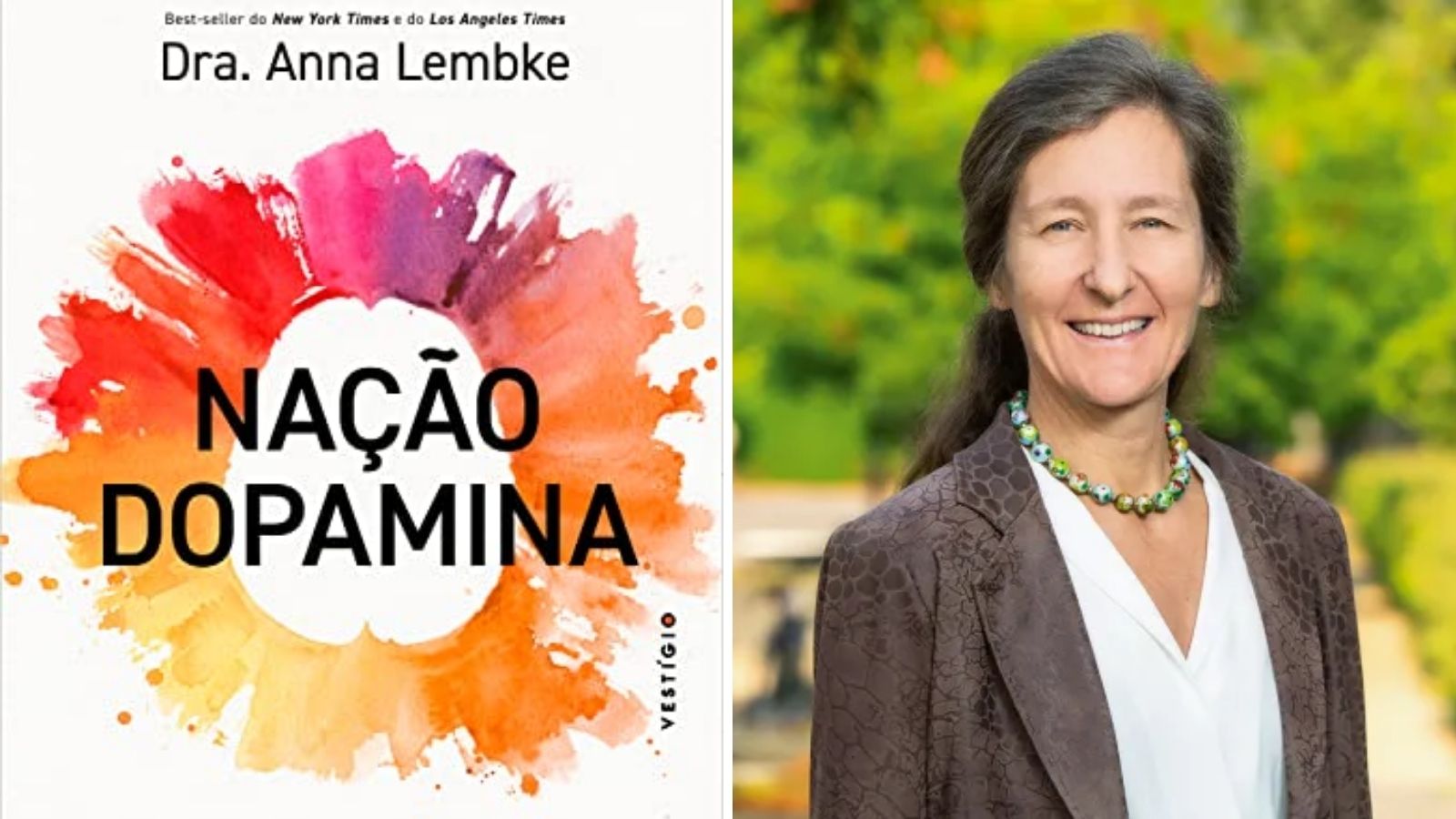 Nação Dopamina_ Por que o Excesso de Prazer Está nos Deixando Infelizes
