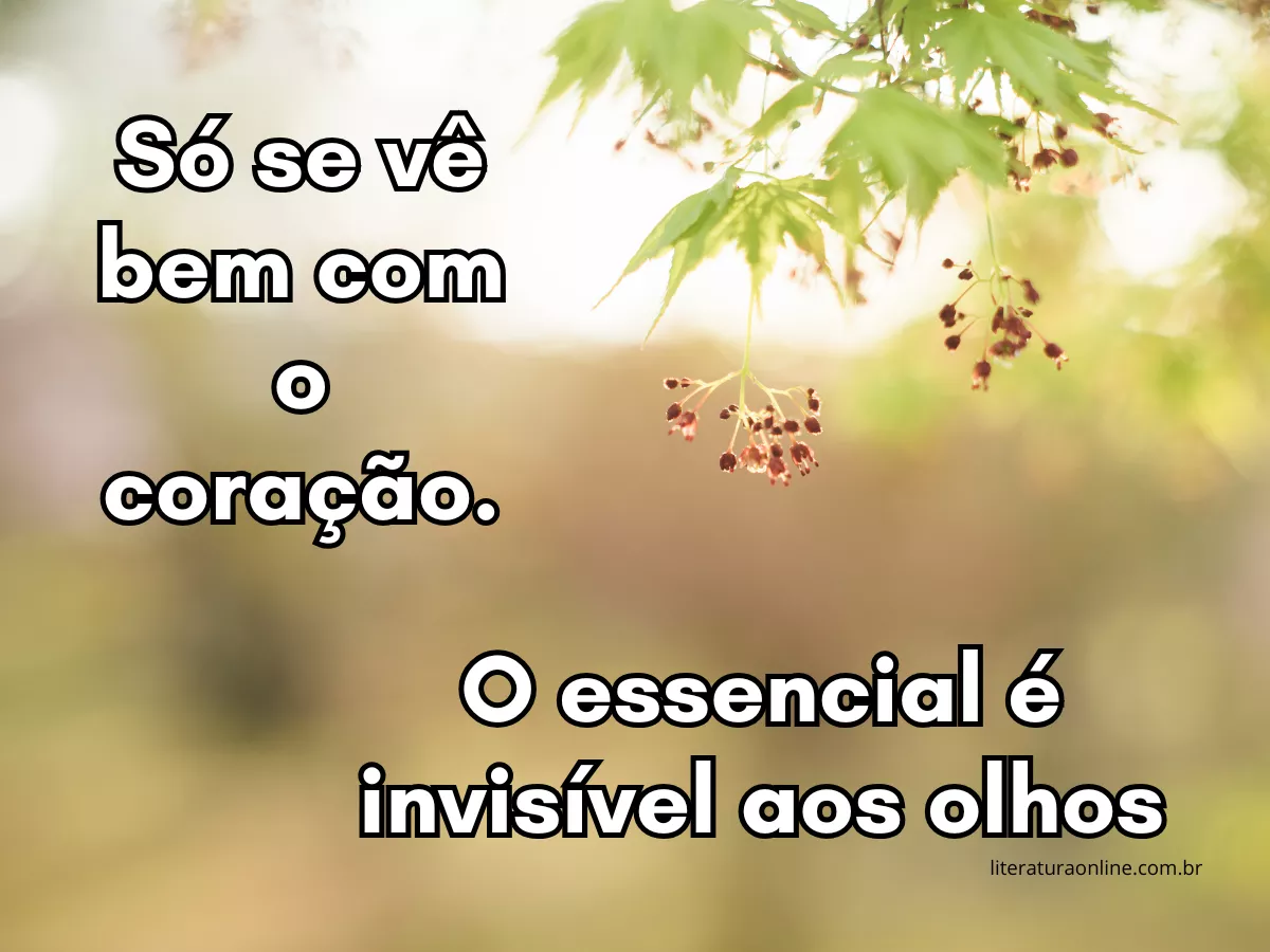 Folhas verdes iluminadas pelo sol suave, evocando a ideia de que o verdadeiro valor das coisas não pode ser visto, apenas sentido.
