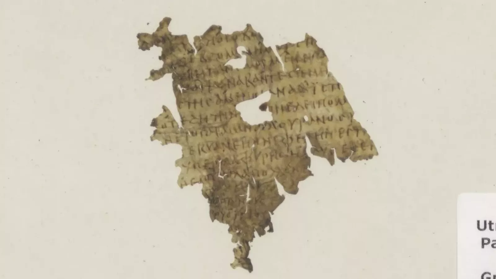 Fragmento de pergaminho amarelado e irregular, com linhas de escrita grega antiga e furos, trecho do Canto 12 da Odisseia identificado na biblioteca da Universidade de Utrecht