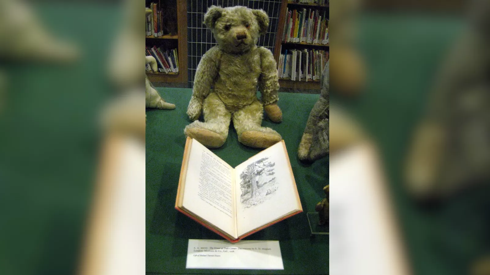 O urso de pelúcia original de Christopher Robin, de pelo dourado gasto, sentado numa vitrine forrada de verde na Biblioteca Pública de Nova York, diante de um exemplar aberto de The House at Pooh Corner.