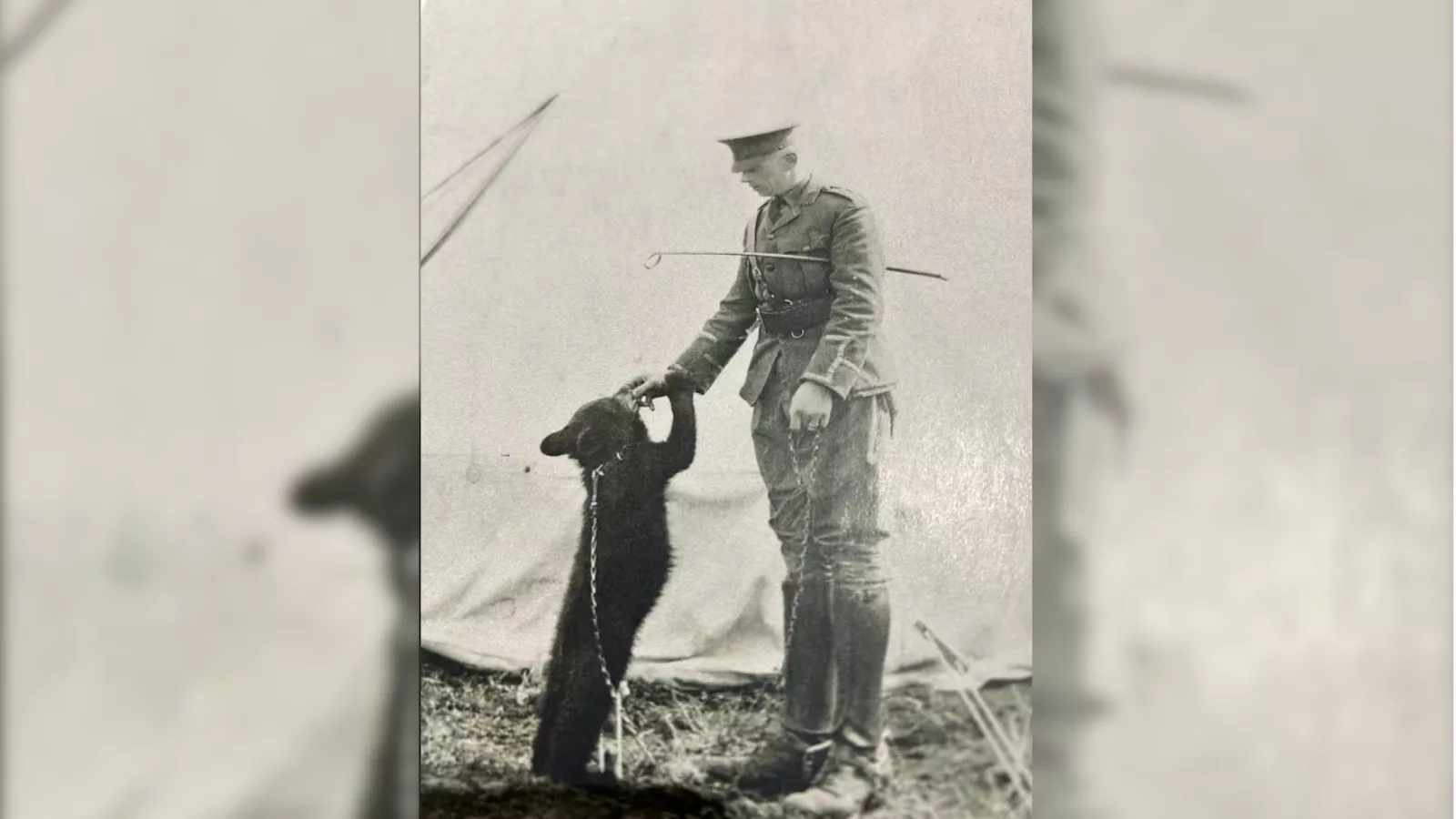 Foto antiga em preto e branco do capitão Harry Colebourn, de uniforme militar, diante de uma barraca de lona, com a filhote de urso preto Winnipeg em pé, presa por uma corrente e segurando a mão dele.