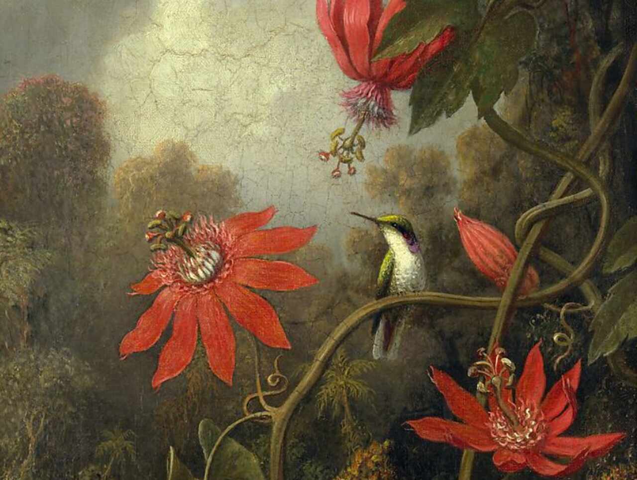 Pintura "Hummingbird and Passionflowers", de Martin Johnson Heade. Ilustrando o poema "O Coração", de Castro Alves, por justamente ambas envolverem um colibri.