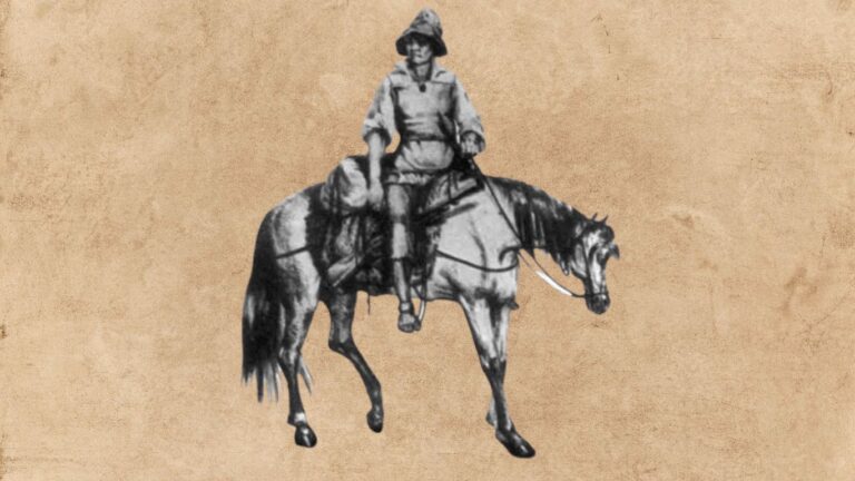 Representação mais famosa do revolucionário Pedro Ivo Veloso da Silveira, líder da "Revolução Praieira". Ilustrando o poema "Pedro Ivo", de Castro Alves.