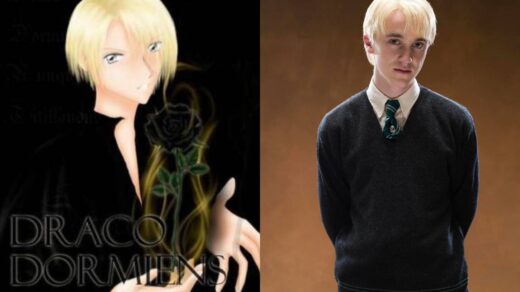 Draco Dormiens, de Cassandra Clare, é uma fanfic famosa inspirada no universo criado por J. K. Rowling