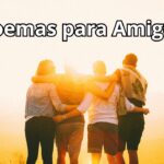 5 melhores poemas para o Dia do Amigo