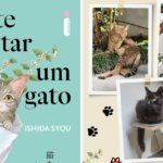 A Capa do livro "Vou te receitar um gato" à esquerda; à direita, fotos de gatos disponíveis para adoção no Gato Pingado Café