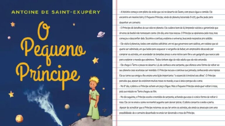 Resumo do livro O Pequeno Príncipe em 20 linhas