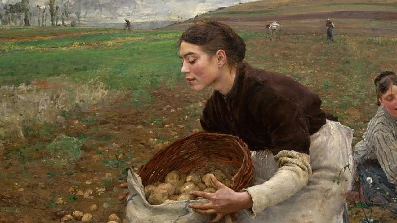 Pintura "Outubro, colheita de batatas" (1878) de Jules Bastien-Lepage mostra camponesa do campo despejando batatas de cesto em saco, evocando a vida sertaneja no poema Flor do Campo de Auta de Souza
